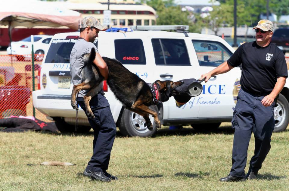 Dog Handler Velcro Badge Large  Police Supplies